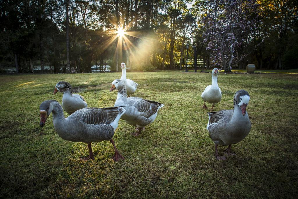 Mccarthy Lake House Maleny Δωμάτιο φωτογραφία