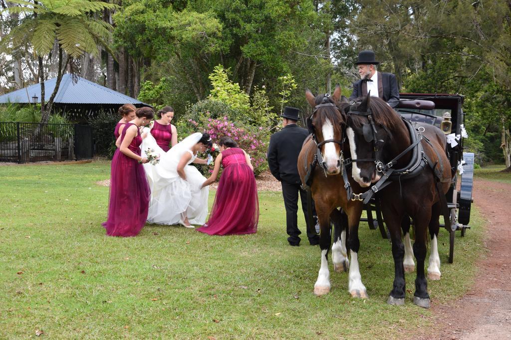 Mccarthy Lake House Maleny Εξωτερικό φωτογραφία